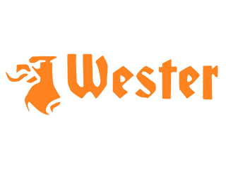 Логотип WESTER