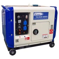 Дизельный сварочный генератор TSS DGW-200ESS