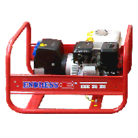 Электростанция Endress ESE 35 BS Profi